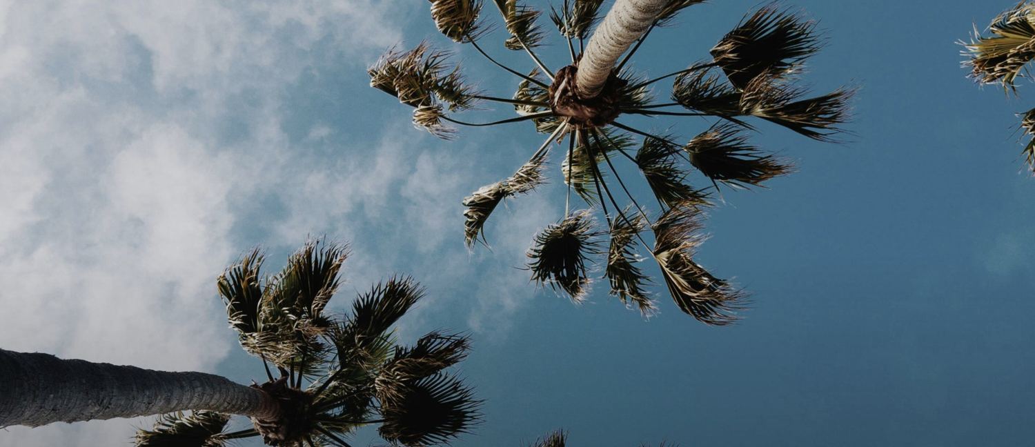 Solara Living — More than an investment